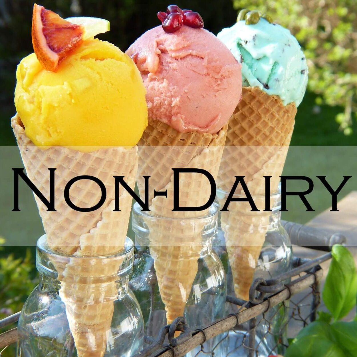 NonDairyIceCream