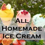 75+ Easy KitchenAid Ice Cream Maker Recipes - Love It!