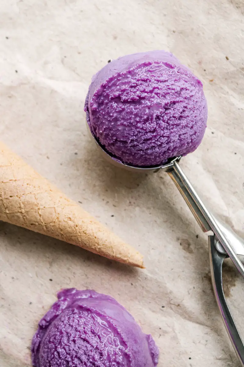 75 Koji Ice Cream Maker Recipes Unlock Deliciousness